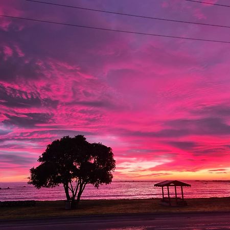 The Anchor Inn Beachfront Motel 카이코라 외부 사진