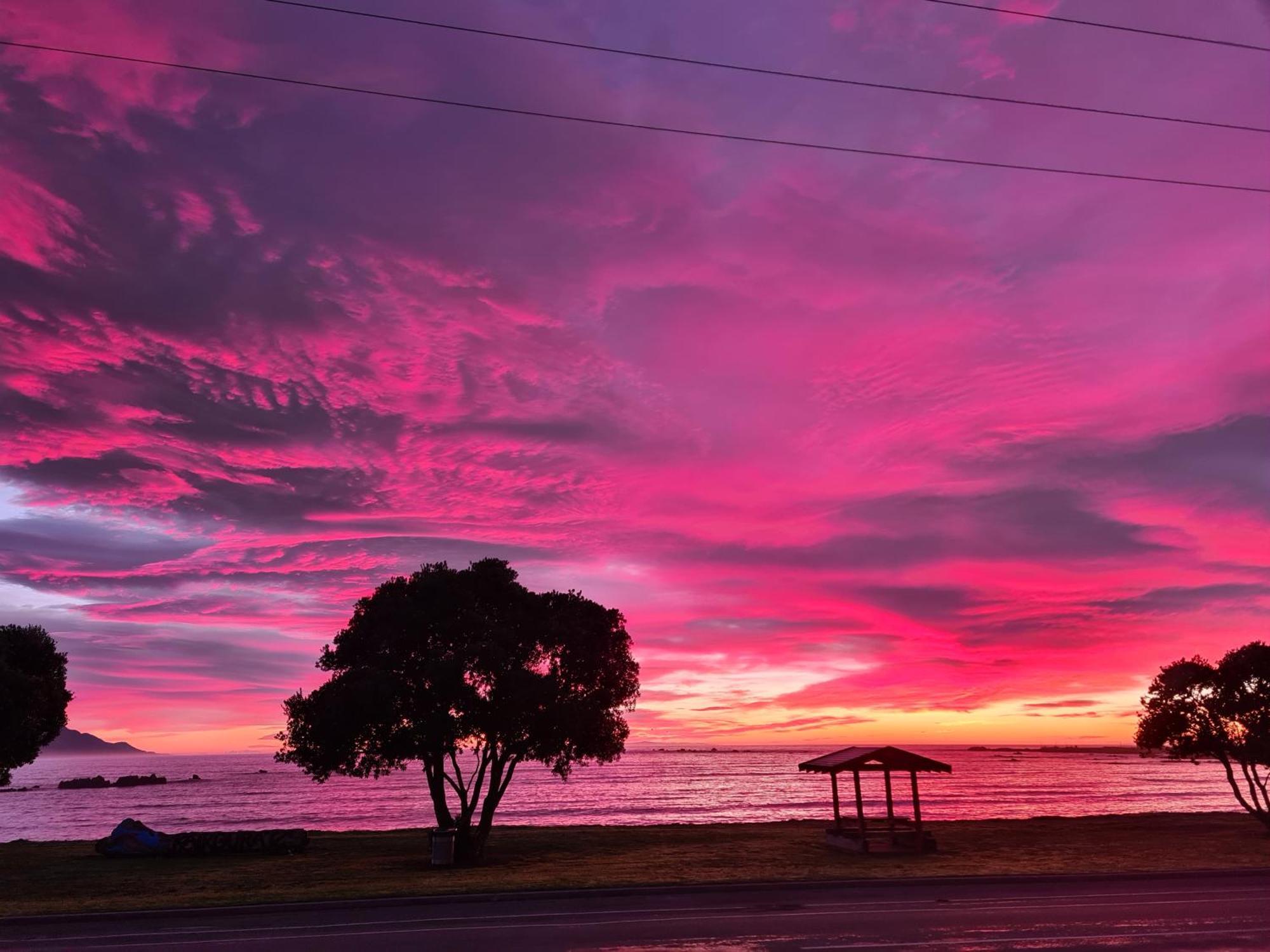 The Anchor Inn Beachfront Motel 카이코라 외부 사진